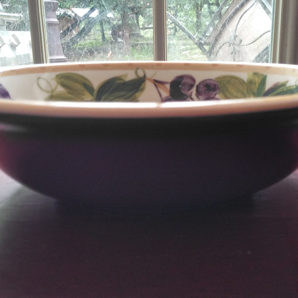 NWOT Set of 4 Melamine Cereal Bowls w/Grape Design